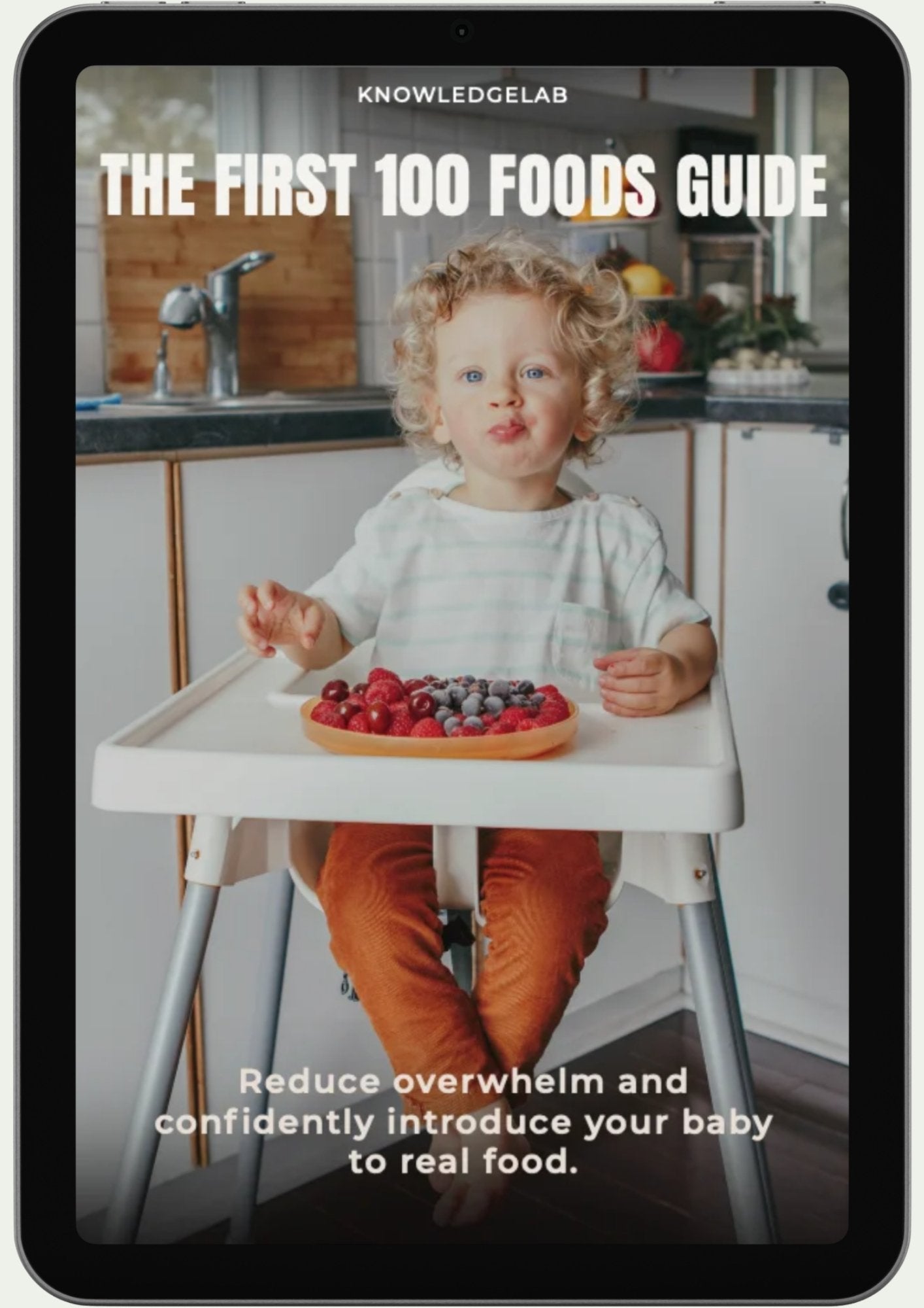The First 100 Foods Guide
